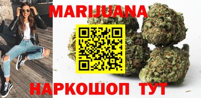 сатива Шелехов