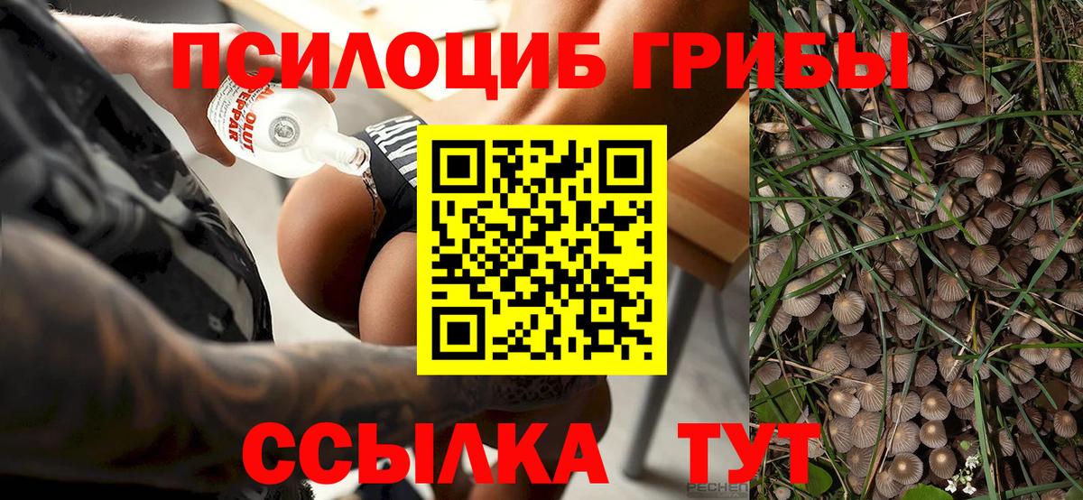 Галлюциногенные грибы MAGIC MUSHROOMS Самара