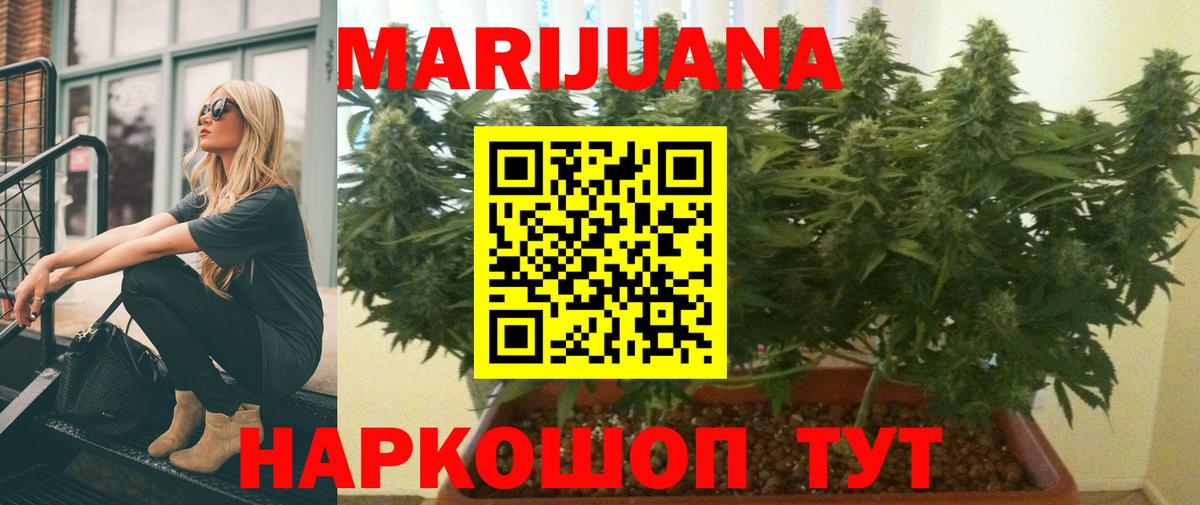 Каннабис план  Канабис планчик  Самара  Бошки марихуана Bruce Banner  Вход с VPN 